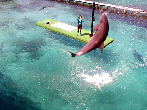 Islas del Rosario - Cartagena, Colombia
